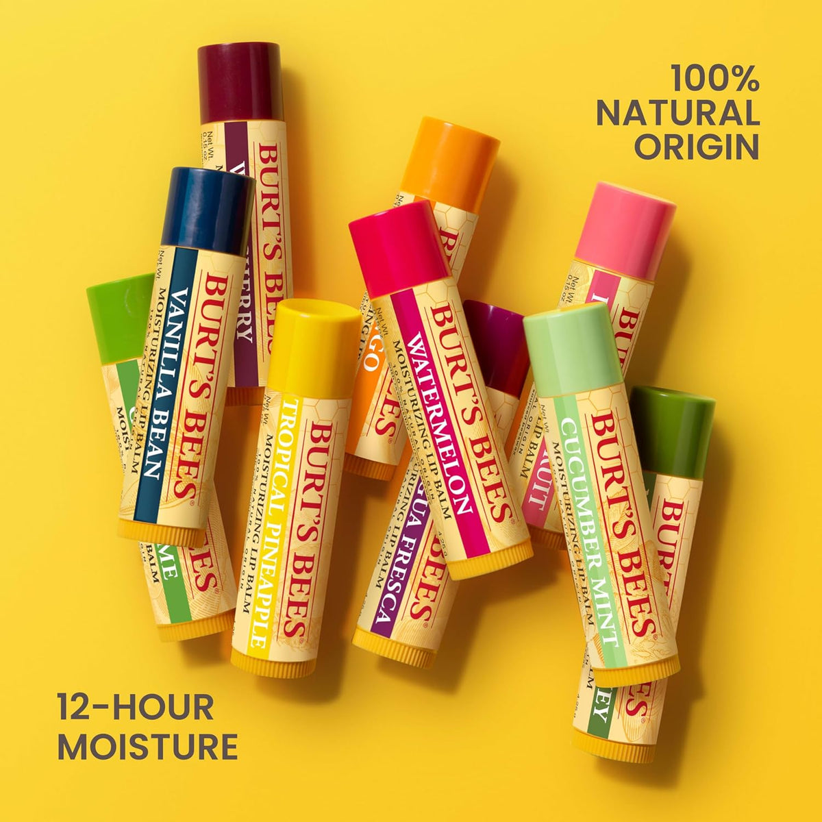 Burt's Bees 100% Natural Moisturizing Lip Balm (Original Beeswax)